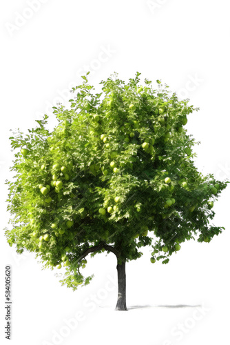 Forrest tree with green leaves isolated on white transparent background png. Generative AI 