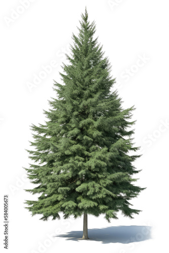 Green pine fir tree isolated on white transparent background png. Generative AI