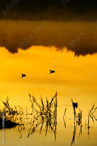 Photos of a beautiful sunrise on a lake