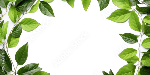 Natural green leaves frame border isolated on white background. Generative AI