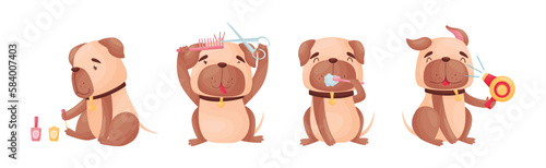 Cartoon Pug Dog Character Doing Spa and Hygiene Procedures Vector Set