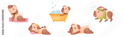 Cartoon Pug Dog Character Doing Spa and Hygiene Procedures Vector Set