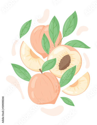 Whole peach fruits and slices, half peach with pit, twig and leaves. Vector cartoon design element.