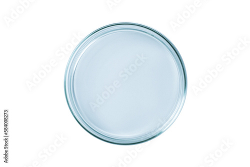 Petri dish empty blue glass isolated. PNG.