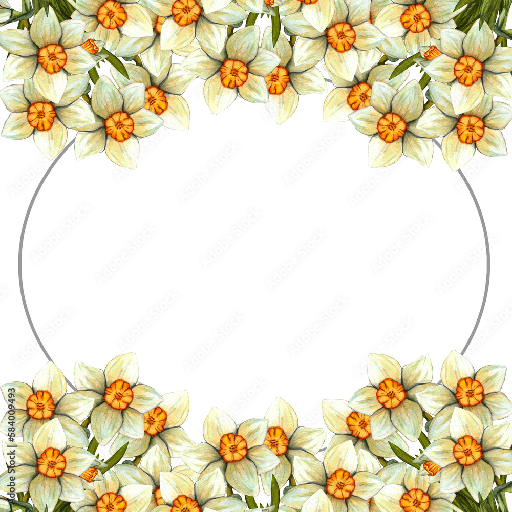 Obraz premium Watercolor frame easter with daffodil. Spring hand drawn illustration isolated on transparent background