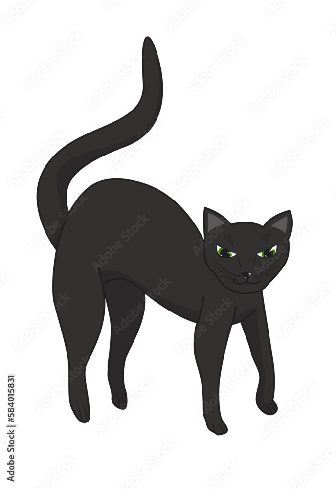 Cat is angry Cat is angry