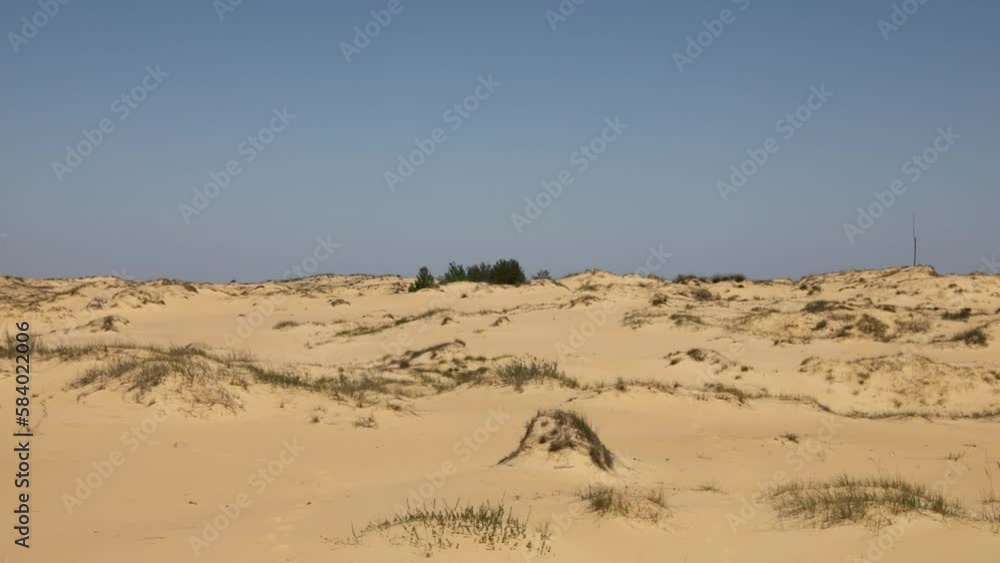 The dunes of Europe's largest desert, the Oleshki Sands, a sparse patch of green grass The dunes of Europe's largest desert, the Oleshki Sands, a sparse patch of green grass