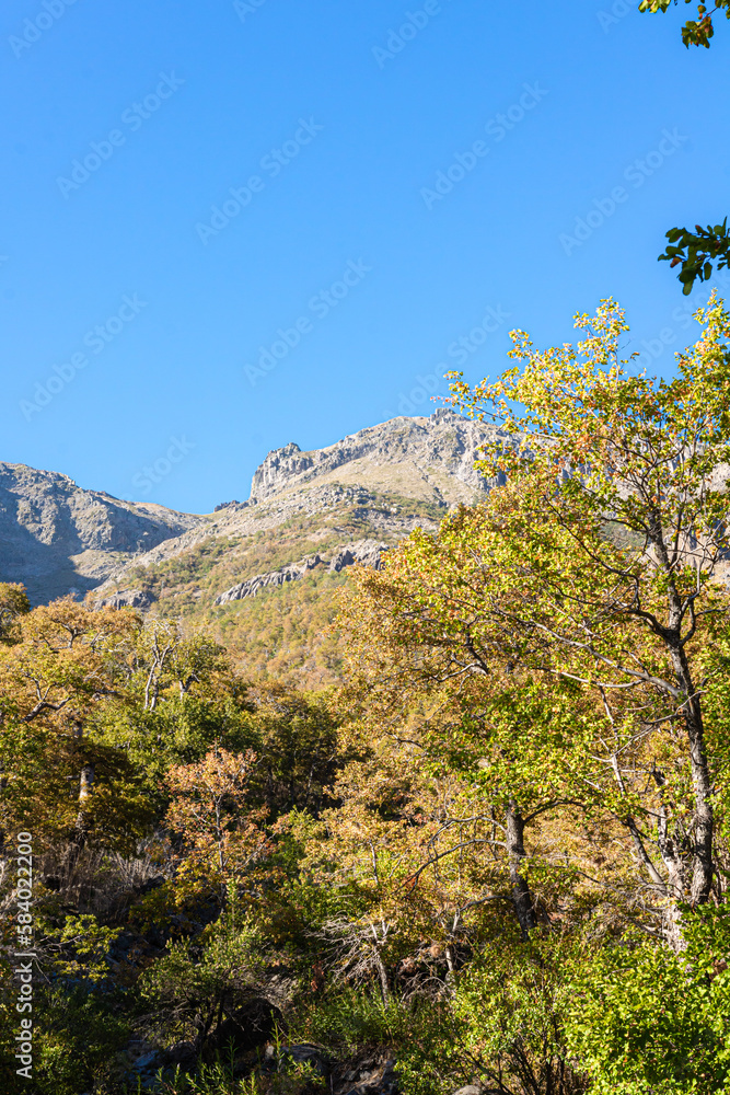 landscape in the mountains