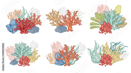 Hand drawn underwater natural elements set. Coral reef seaweeds and corals. Undersea flora collection. Vector illustrations.