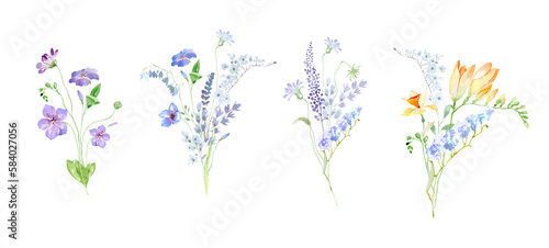 Tiny  delicate wild spring flowers. Field  meadow spring flowers. Summer field flowers. Wild poppies  garden tulips. Watercolor spring bouquets  frames and wreaths on a white background. Holiday 