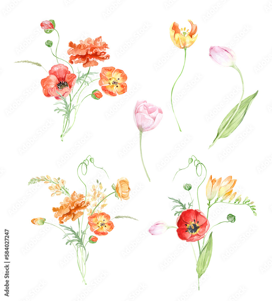 Tiny, delicate wild spring flowers. Field, meadow spring flowers. Summer field flowers. Wild poppies, garden tulips. Watercolor spring bouquets, frames and wreaths on a white background. Holiday Tiny, delicate wild spring flowers. Field, meadow spring flowers. Summer field flowers. Wild poppies, garden tulips. Watercolor spring bouquets, frames and wreaths on a white background. Holiday