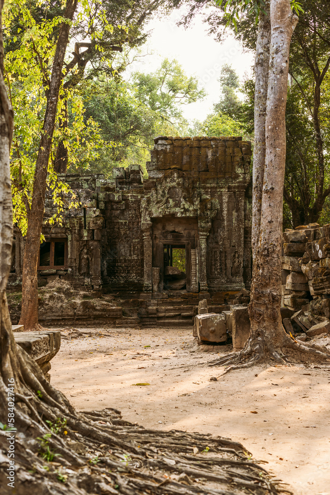 Angkor wat temple ruins, Cambodia