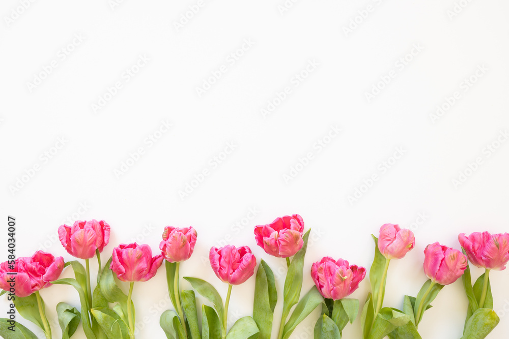 Fototapeta premium Border of pink parrot tulips on a white background