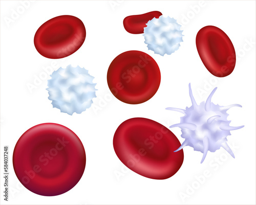 Healthy human platelets, red and white blood cells under microscope. Magnified of red blood cells in blood plasma. 3d illustration. Vector illustration EPS 10