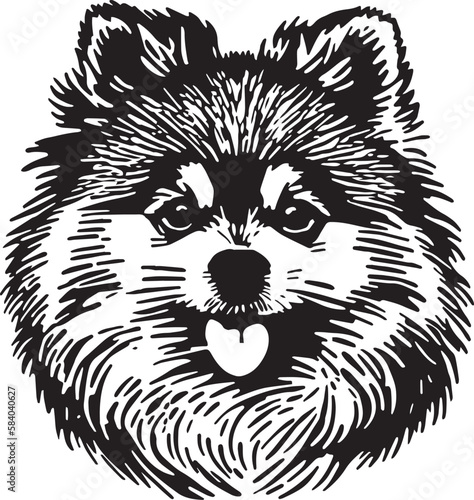 Pomeranian spitz dog vector illustration