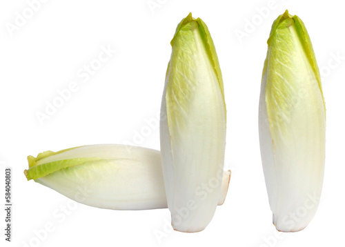 Schilderij op canvas Endives blanches