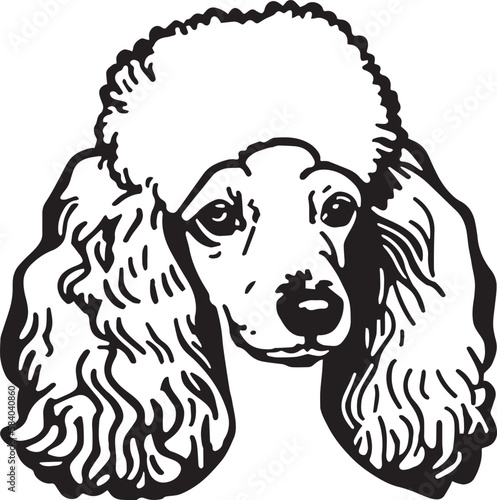 Poodle head dog vector illustration