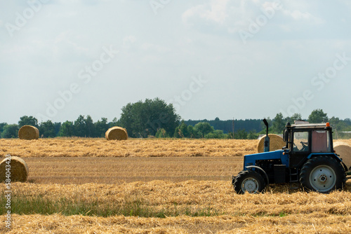 Tractor collects hay bales in the fields. A tractor with a trailer baling machine collects straw and makes round large bales for drying and hauling hay. A worker on an agricultural tractor