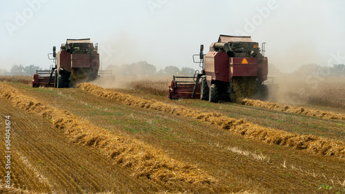 A combine harvester is working in a wheat field. Seasonal wheat harvest. Agricultural industry. Cleaning and harvesting of silage. The process of harvesting from the fields. equipment in the field.