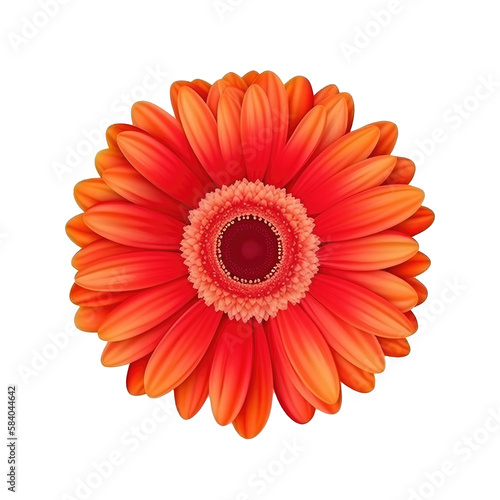 Gerbera flower hear isolated. Illustration AI Generative.