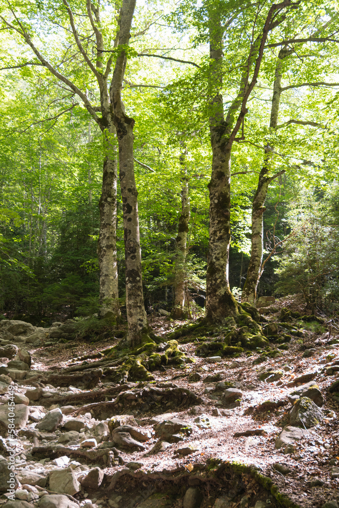 Natural Park of Ordesa and Monte Perdido,