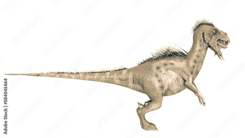 unknown dinosaur is standing up on side view unknown dinosaur is standing up on side view