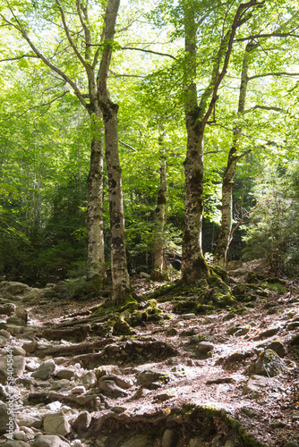 Obraz na płótnie Natural Park of Ordesa and Monte Perdido,