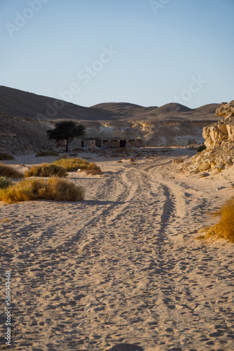 Fototapeta Naklejka Na Ścianę i Meble -  landscape in the desert