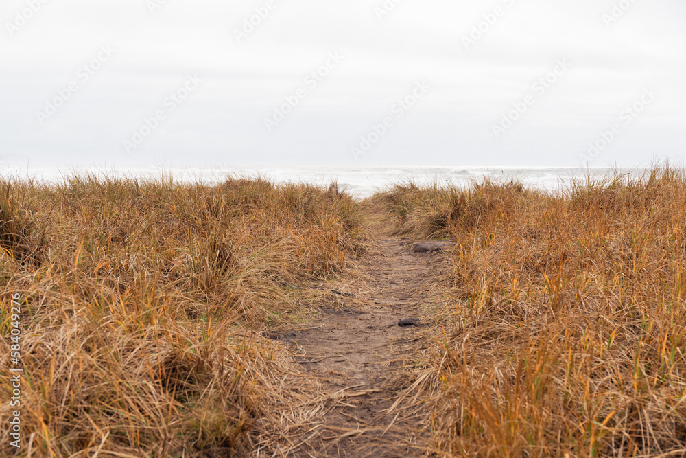 Footpath Through Beach Dunes Along Pacific Ocean Footpath Through Beach Dunes Along Pacific Ocean