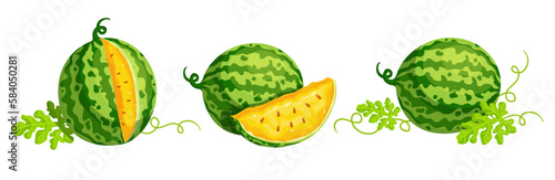 Wallpaper Mural Set of ripe yellow watermelon berries and summer fruit pieces. Cartoon vector graphics. Torontodigital.ca