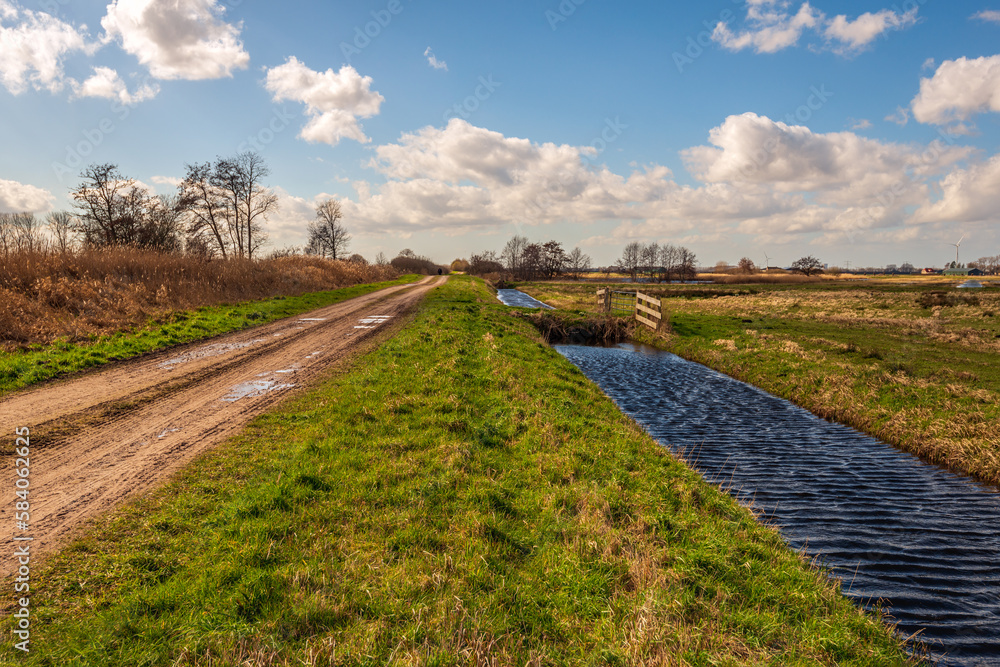 Fototapeta premium Dutch polder landscape with a dirt road and a ditch with a rough water surface due to the strong wind. The photo was taken on a cloudy day at the end of the winter season.