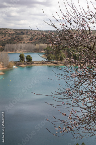 blooming tree branches with lagoon landscape background