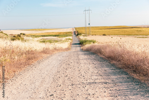 Via de la Plata - dirt road through agricultural fields on a summer landscape between Santiponce and Guillena, Seville, Andalusia, Spain photo