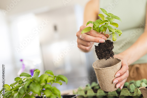 Midsection of caucasian young woman placing small plant in flower pot while gardening at home