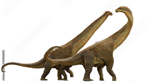 Alamosaurus, a long-necked Titanosaurus dinosaur couple from the Late Cretaceous period, isolated on transparent background