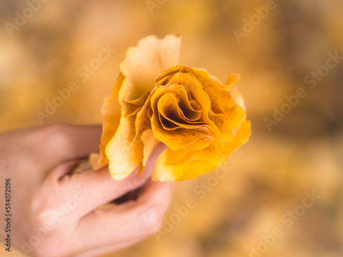 イチョウで作った花束