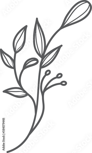 botanical flower line art 