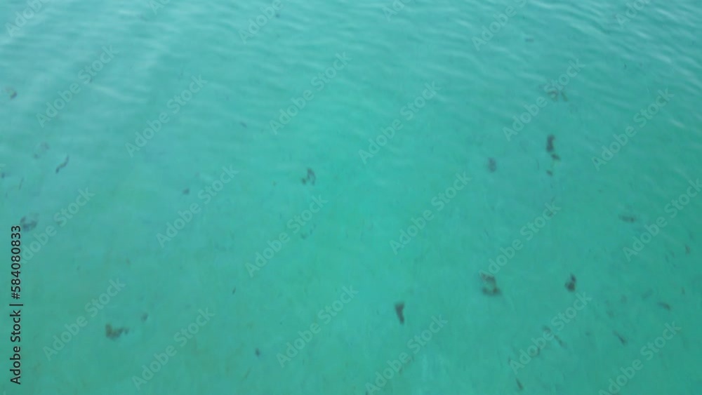 柏島の海 ドローン空撮 柏島の海 ドローン空撮