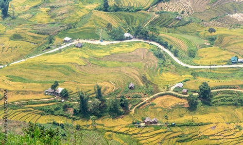 Admire the beautiful terraced fields in Y Ty commune, Bat Xat district, Lao Cai province northwest Vietnam on the day of ripe rice harvest.