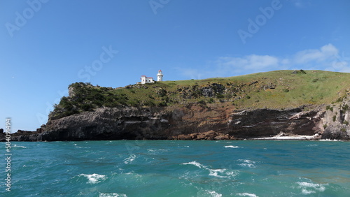 Explore the Taiaroa Head Lighthouse: A Historic Landmark Located on a Cliff with Stunning Views of Otago Harbour and the Surrounding Landscape