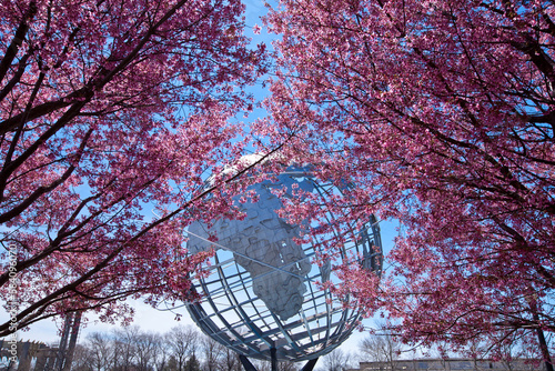 Cherry blossom trees in Flushing Meadows Corona Park at New York City