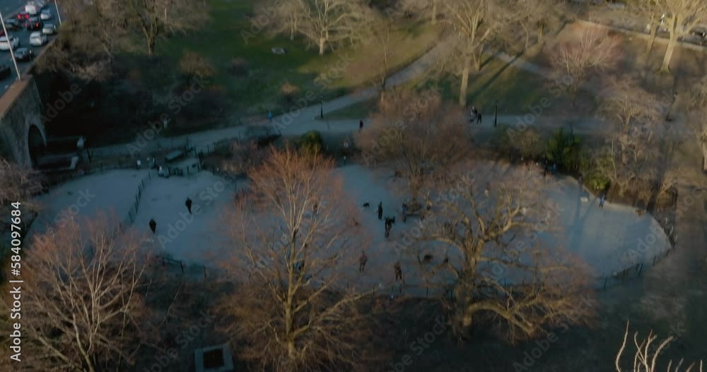 Aerial view of dogs and people in the Riverside park, New York - tilt, drone shot Aerial view of dogs and people in the Riverside park, New York - tilt, drone shot