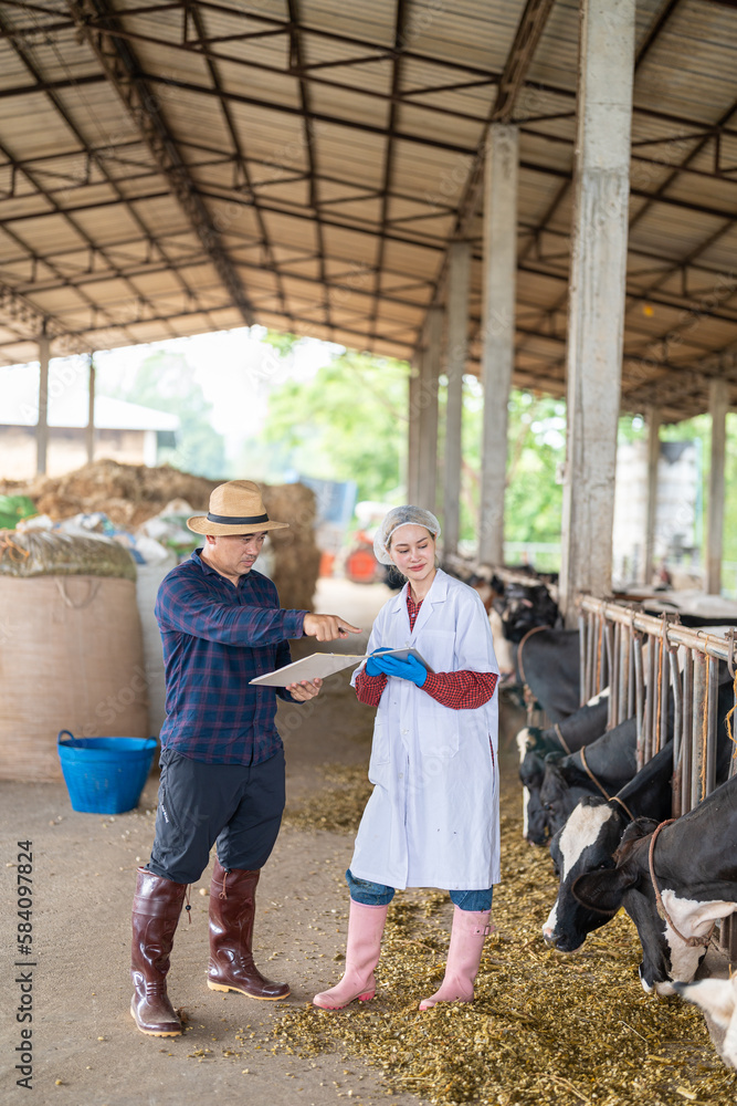 Male farm owner and female livestock veterinarian standing in cow barn consulting farmer's calendar application on digital tablet. Dairy herds management process and keeping track of herd performance