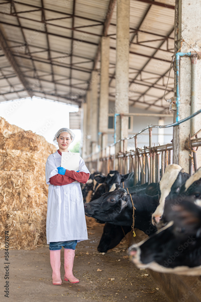 Female veterinarian in a white medical gown stands in a cowshed and records the data after a regular examination of the cattle on the dairy farm. Concept of cattle breeding and its medical care. Female veterinarian in a white medical gown stands in a cowshed and records the data after a regular examination of the cattle on the dairy farm. Concept of cattle breeding and its medical care.