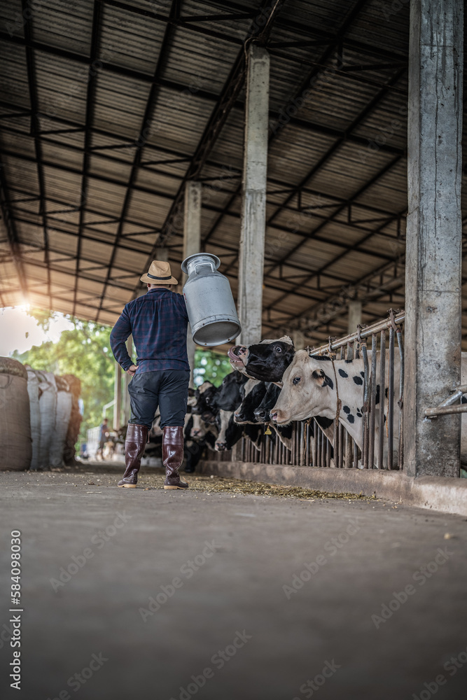 The farmer is working on an organic farm with a dairy cow and holding a large milk container. The model is a real farm worker! The farmer is working on an organic farm with a dairy cow and holding a large milk container. The model is a real farm worker!
