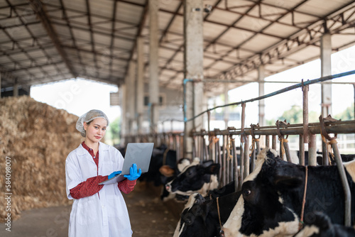 Female veterinarian in a white medical gown stands in a cowshed and records the data after a regular examination of the cattle on the dairy farm. Concept of cattle breeding and its medical care. © ND STOCK