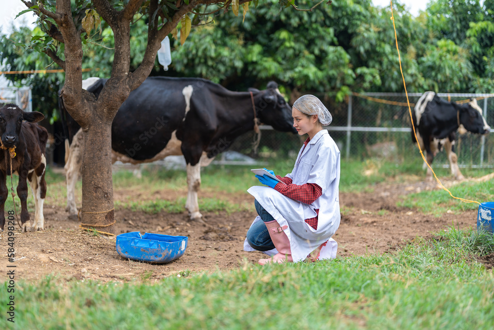 Zdjęcie Stock Female veterinarian in a white medical gown stands in a