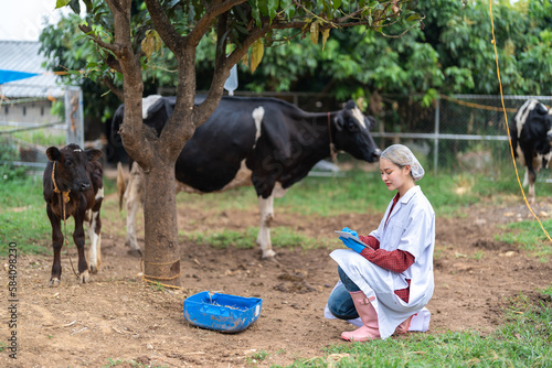 Female veterinarian in a white medical gown stands in a cowshed and records the data after a regular examination of the cattle on the dairy farm. Concept of cattle breeding and its medical care.