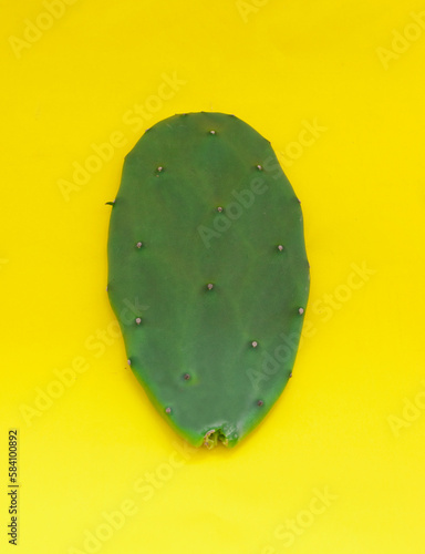 Cactus Opuntia cochenillifera on bright yellow background. Creative concept. photo
