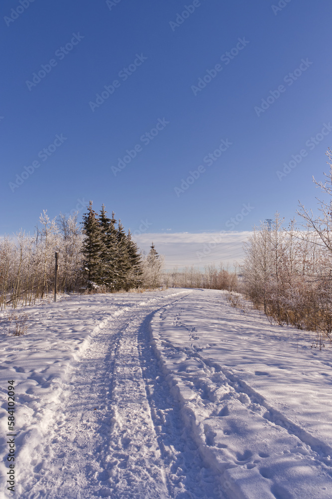 Pylypow Wetlands in the Winter Pylypow Wetlands in the Winter